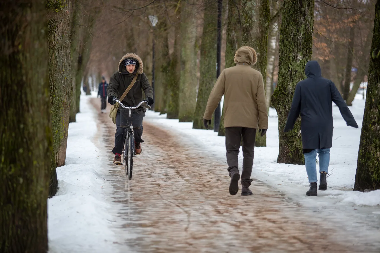 Lõunaks olid paljud kergliiklusteed saanud ka ühtlase liivakihi.