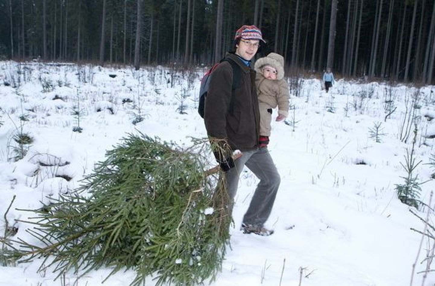 Möödunud aastal oli koos perega metsas jõulukuuse järel käimine väga populaarne.