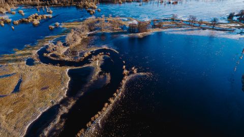 ФОТО И ВИДЕО ⟩ Национальный парк Соомаа превратился в рай для катания на коньках
