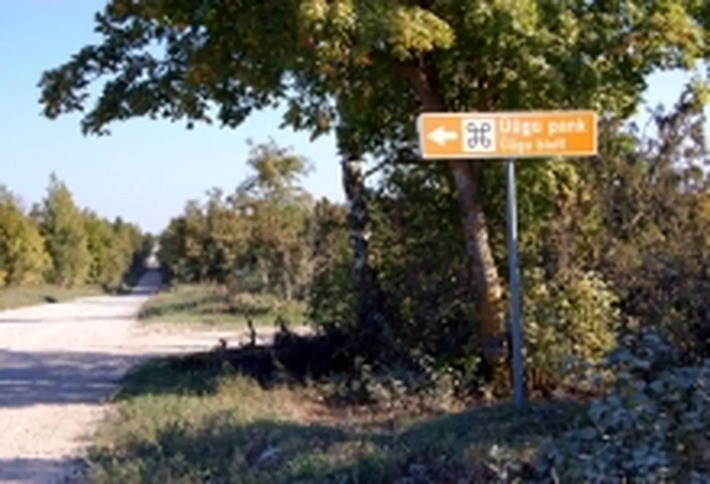 Artikli foto