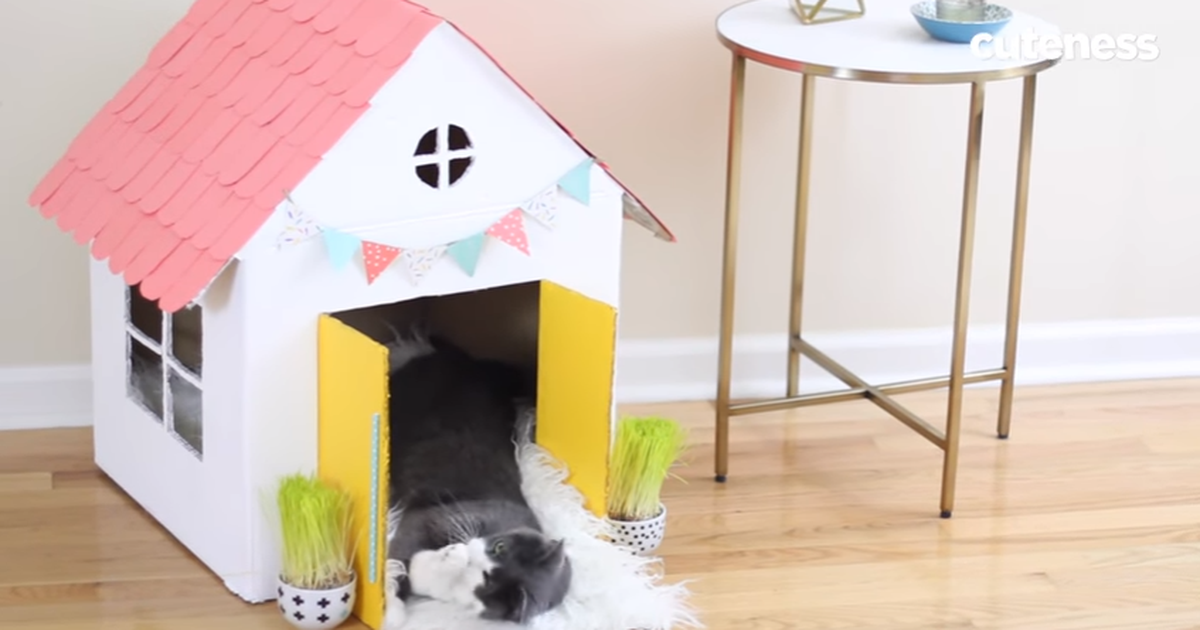 Как свалять домик для кошки — Video | VK