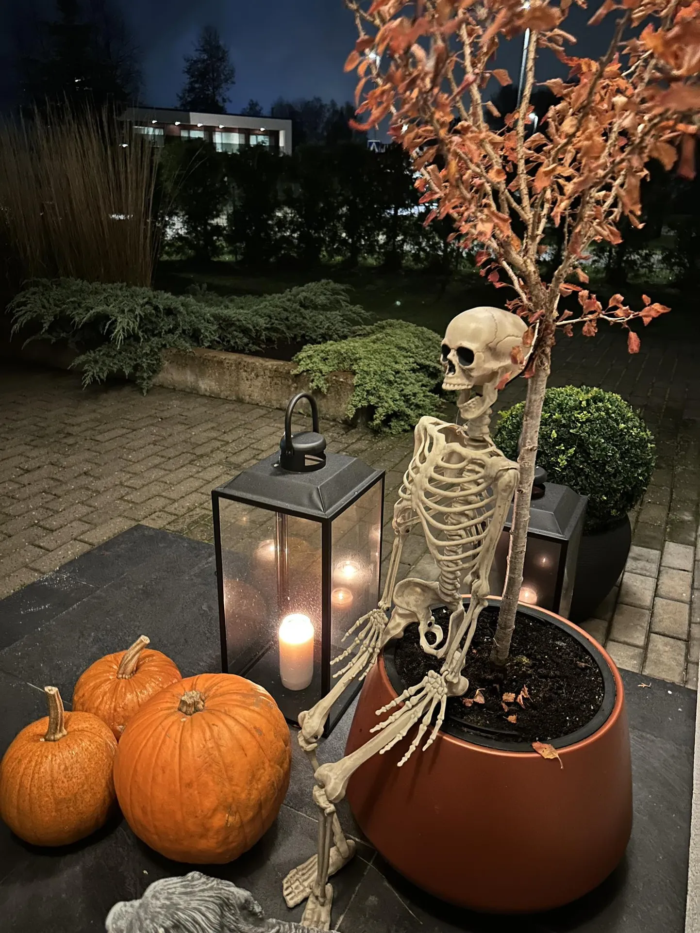 Halloween'i kaunistused ühe Kvissentalis asuva maja ees.