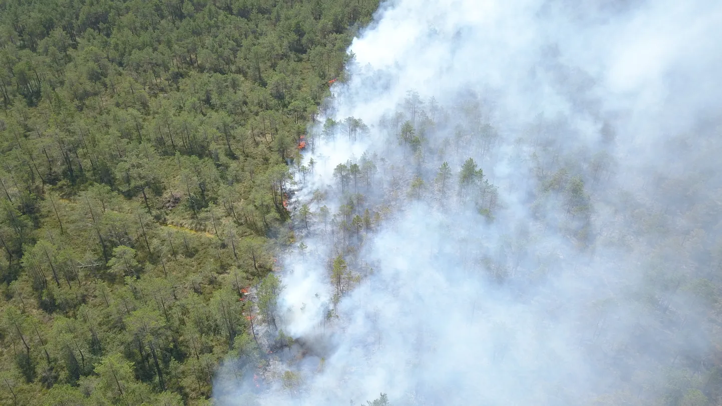 Metsapõleng Järvamaal