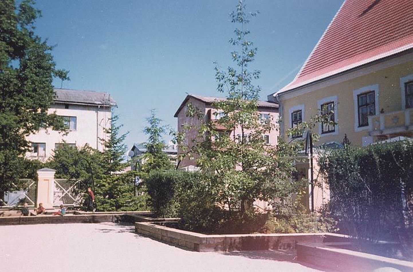 Steineri aias kasvav tulbipuu on linna üks elavaid sümboleid.