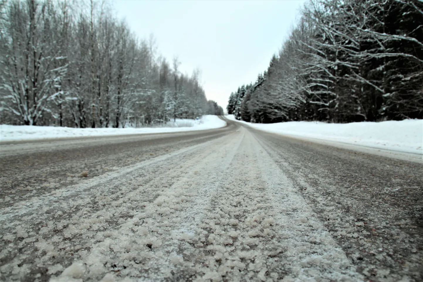 Värskelt sadanud lumi võib põhjustada teedel libedust.