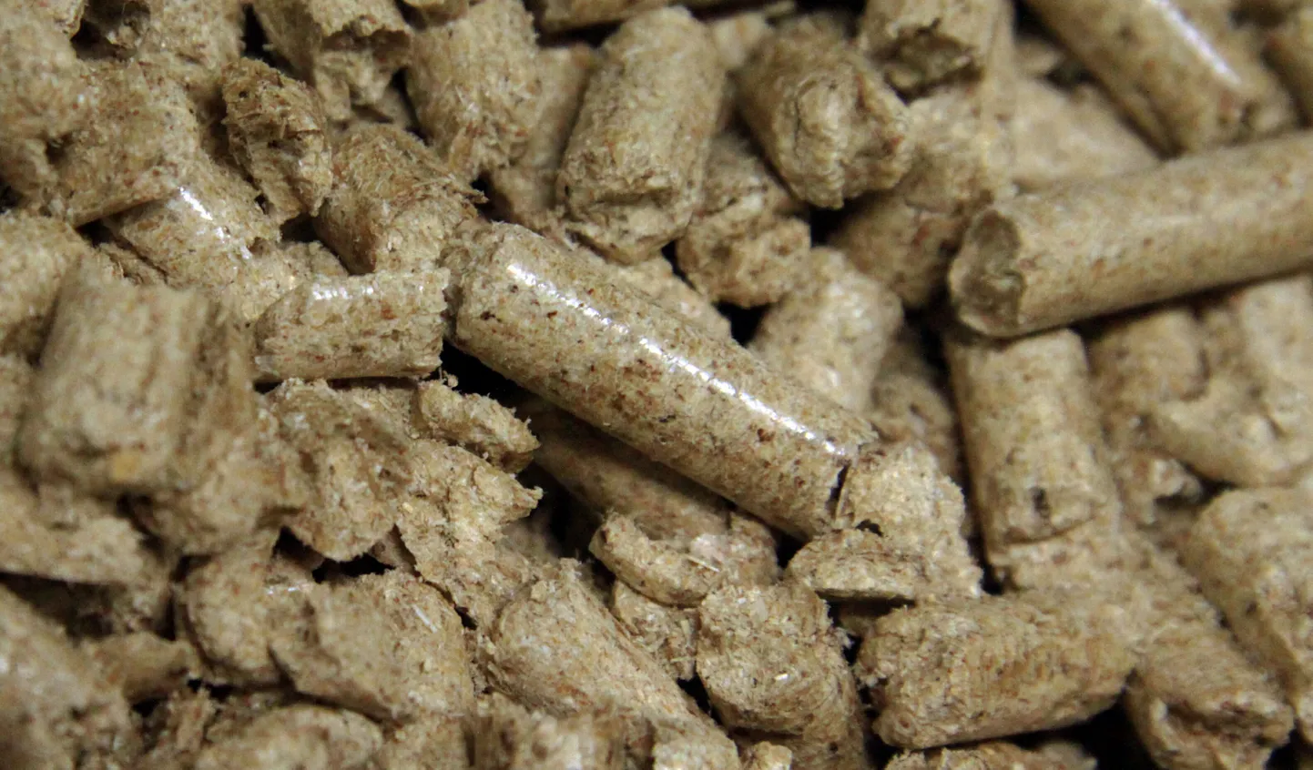 Pelletid. Foto on illustreeriv.