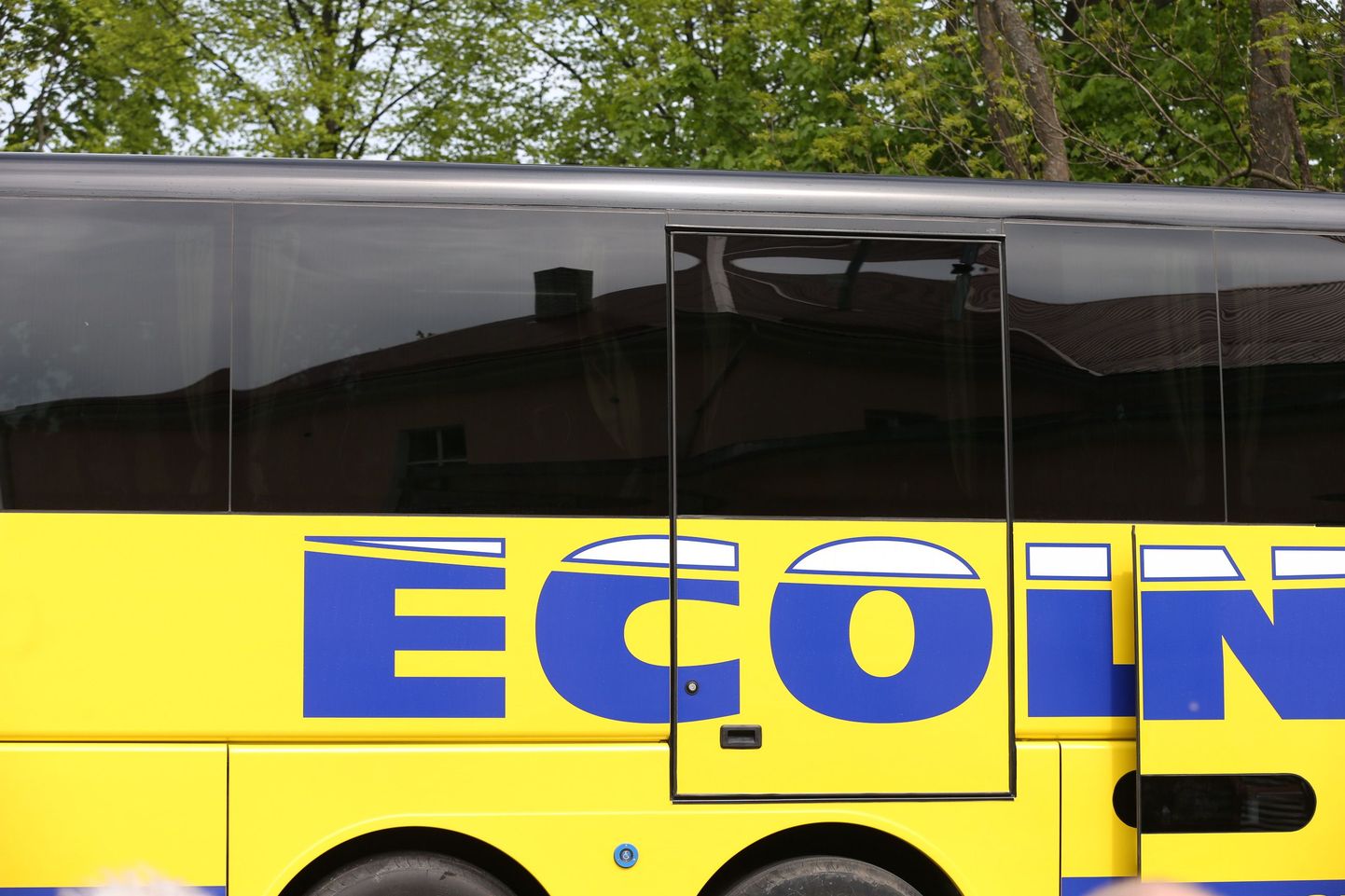 Ecolinesi buss.