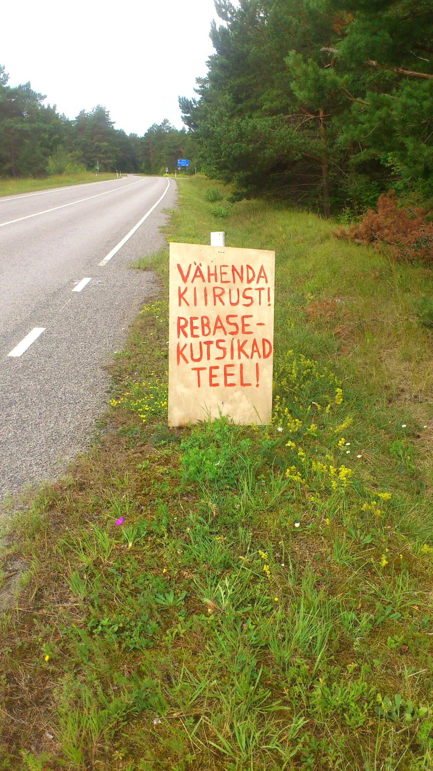 ETTEVAATUST, REBASELAPSED! Sõrve tee äärest võis suvel näha sellist silti.