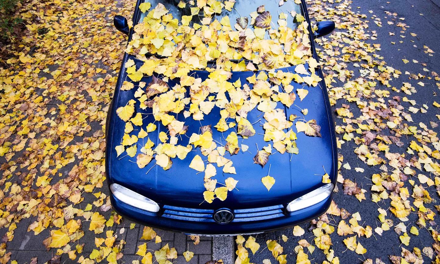 Автомобиль в опавших листьях