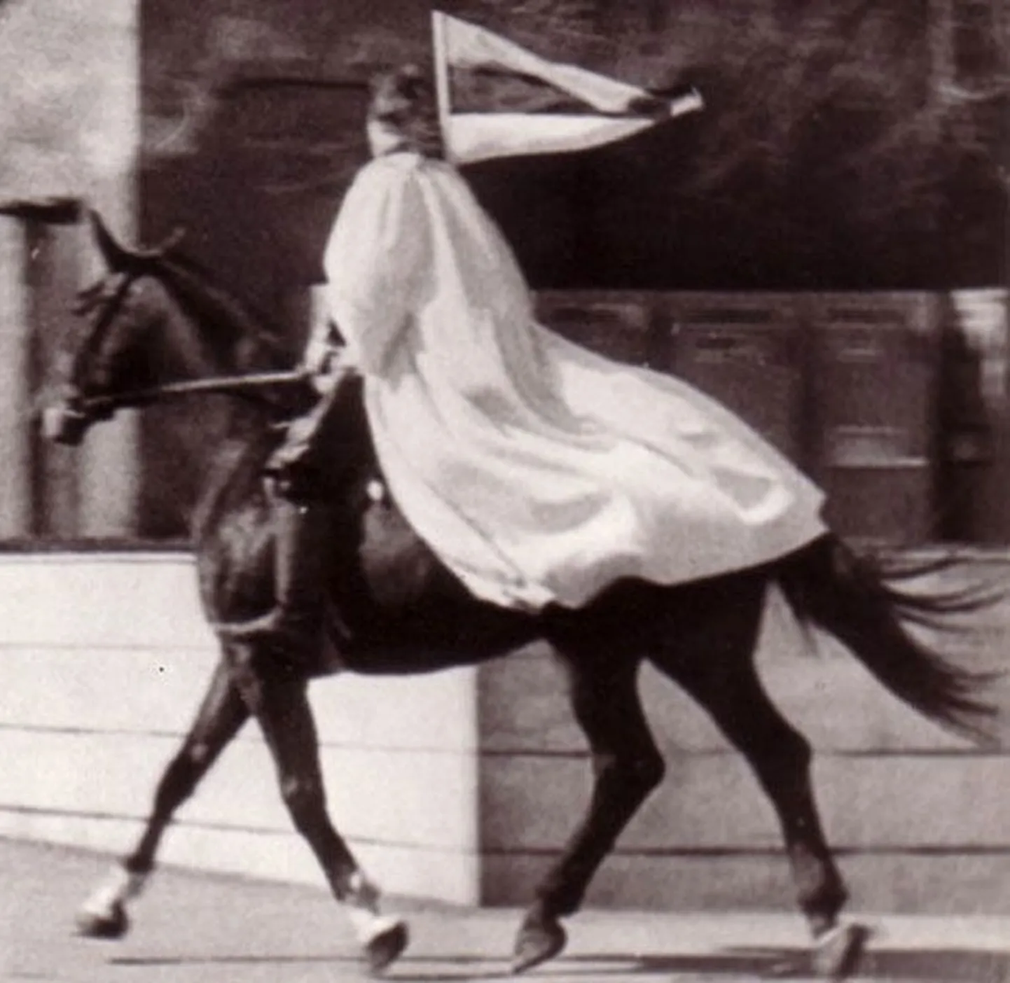 Artikli foto
