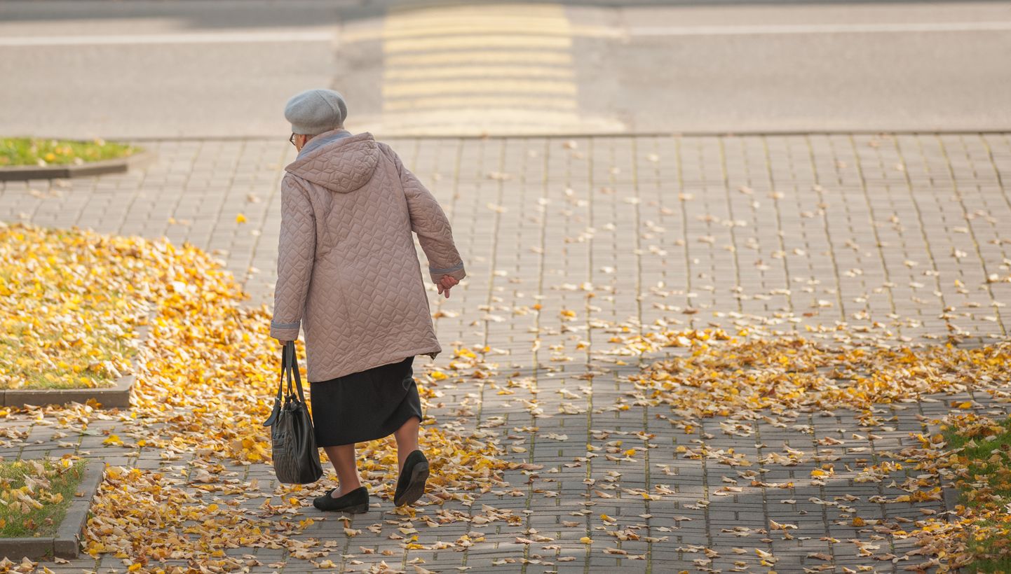 Пожилая женщина с сумкой. Иллюстративное фото