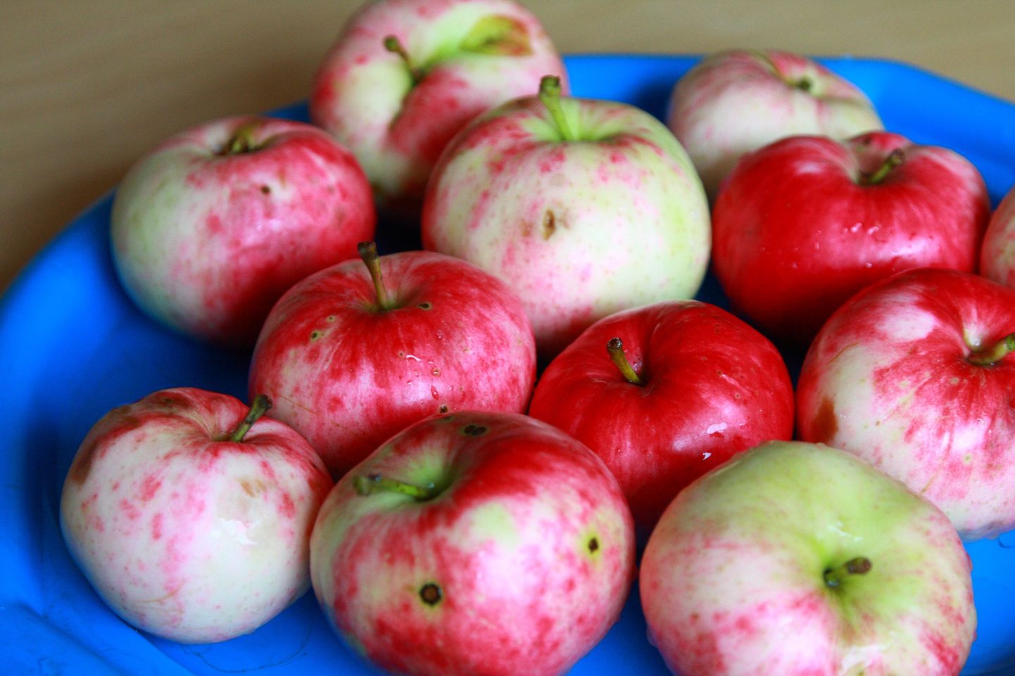Eesti õunad praegu Venemaa turule teretulnud pole.