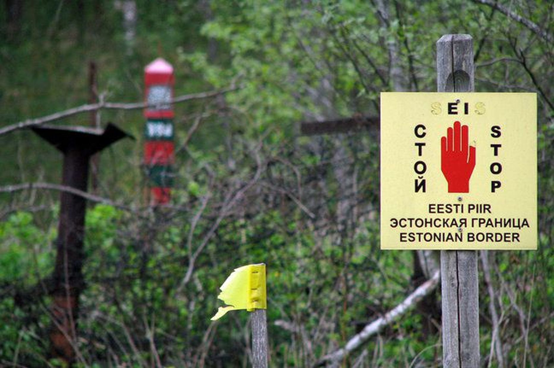 Эстонская граница. Граница РФ И Эстонии. Граница с Эстонией. Эстонско-Российская граница. Российская граница с Эстонией.