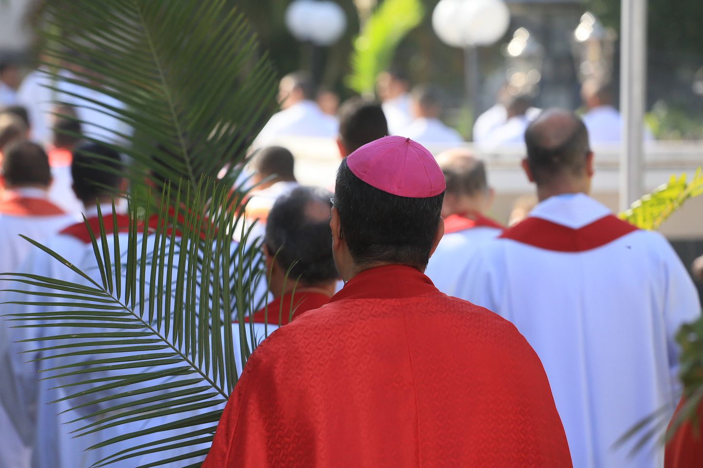 Katoliku vaimulikud palmipuudepühal. Foto on illustreeriv.