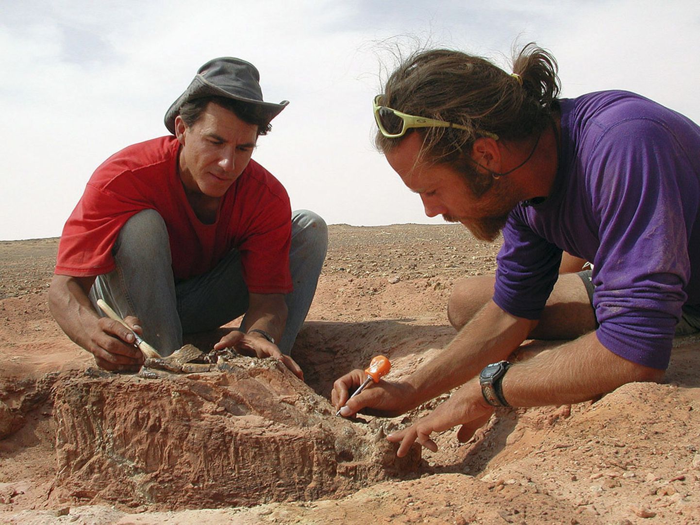Paleontoloogid Paul Sereno (vasakul) ja Hans Larsson krokodillide fossiile välja kaevamas