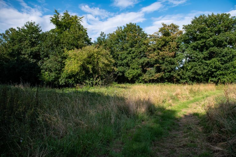 Suurbritannias Cambridgeshire'is asuv Wisbech, mille metsast leiti viis aastat tagasi kadunud Leedust pärit Ricardas Puisys.