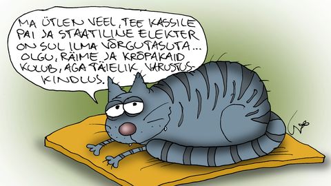 JUHTKIRI ⟩ Kogu maa tuleb uuesti elektrifitseerida