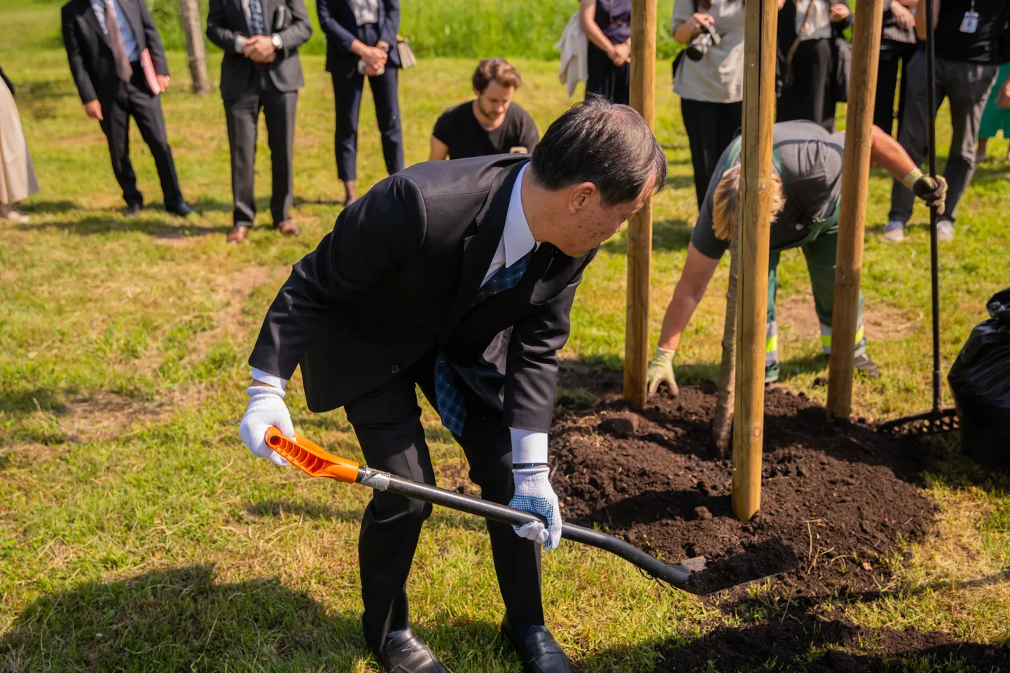 Uzvaras parkā Rīgas & Kobes draudzības 50. gadadienā tiek iedēsts sakuras dižstāds