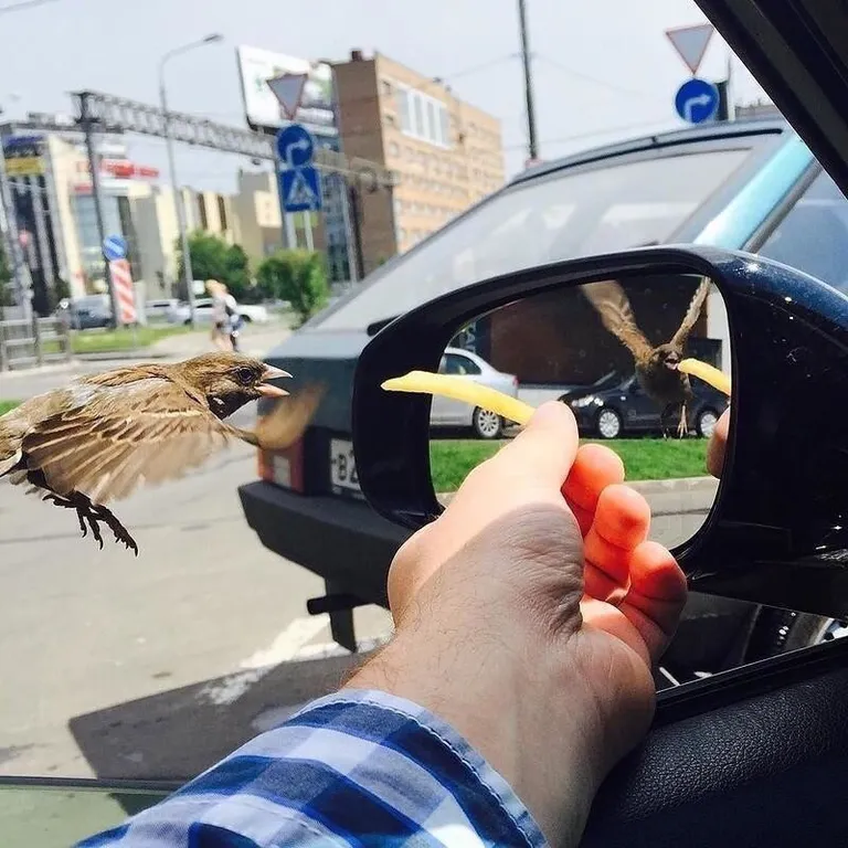 Фото статьи
