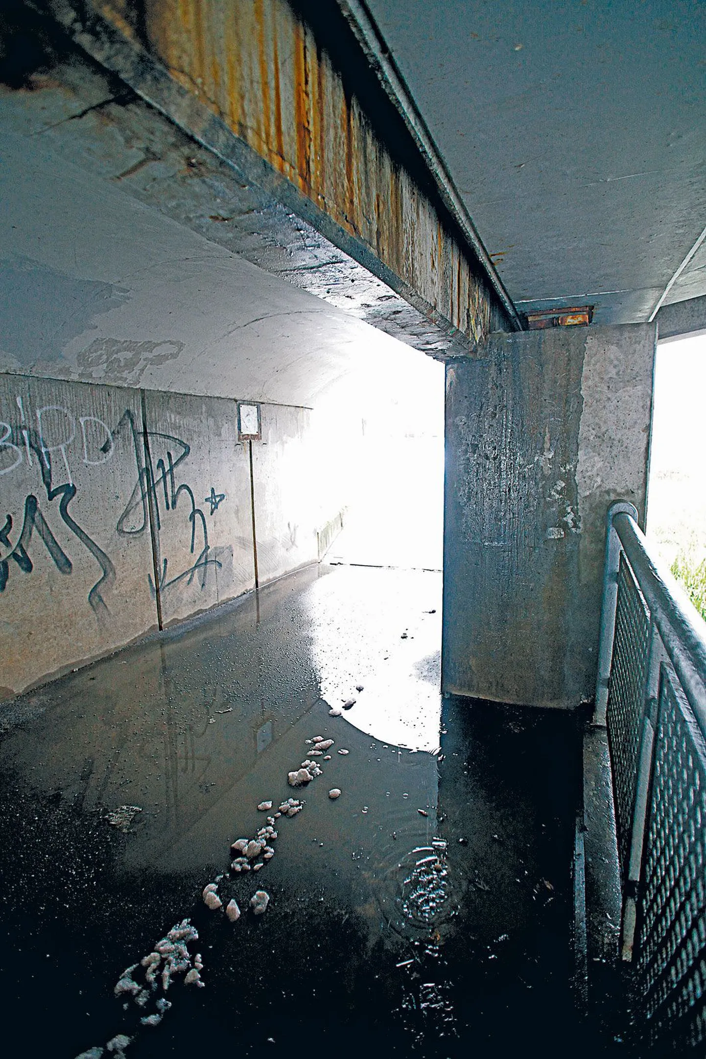 Kroonuaia sillalt pudeneb betooni ja paljastub metallarmatuuri.