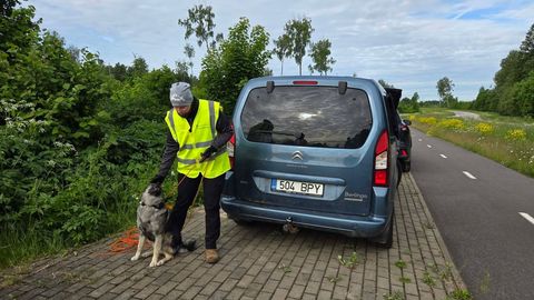Hukkunud metssigade leidmiseks kaasati väljaõppinud koerad