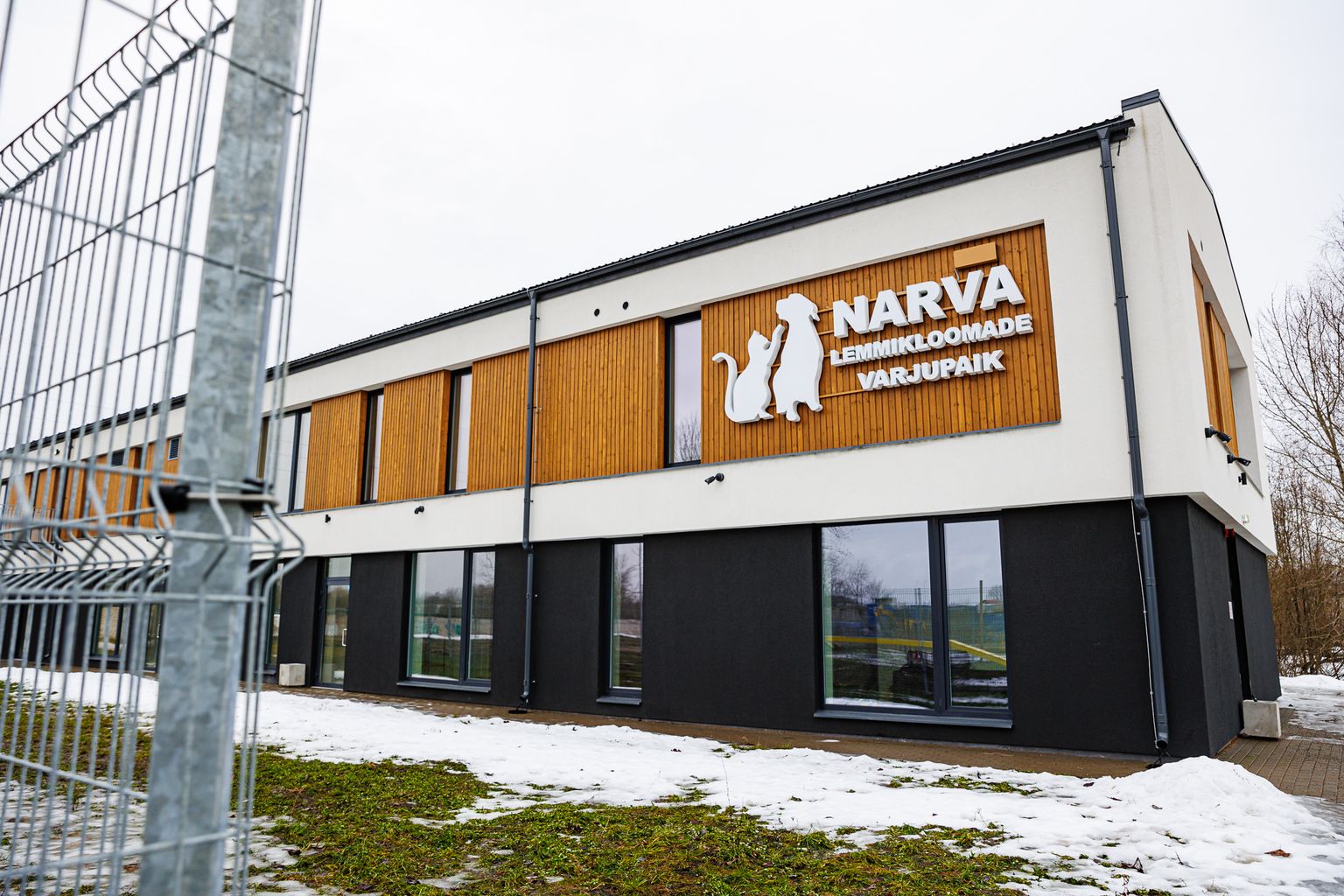 Narva loomade varjupaik Daumani tänavas.