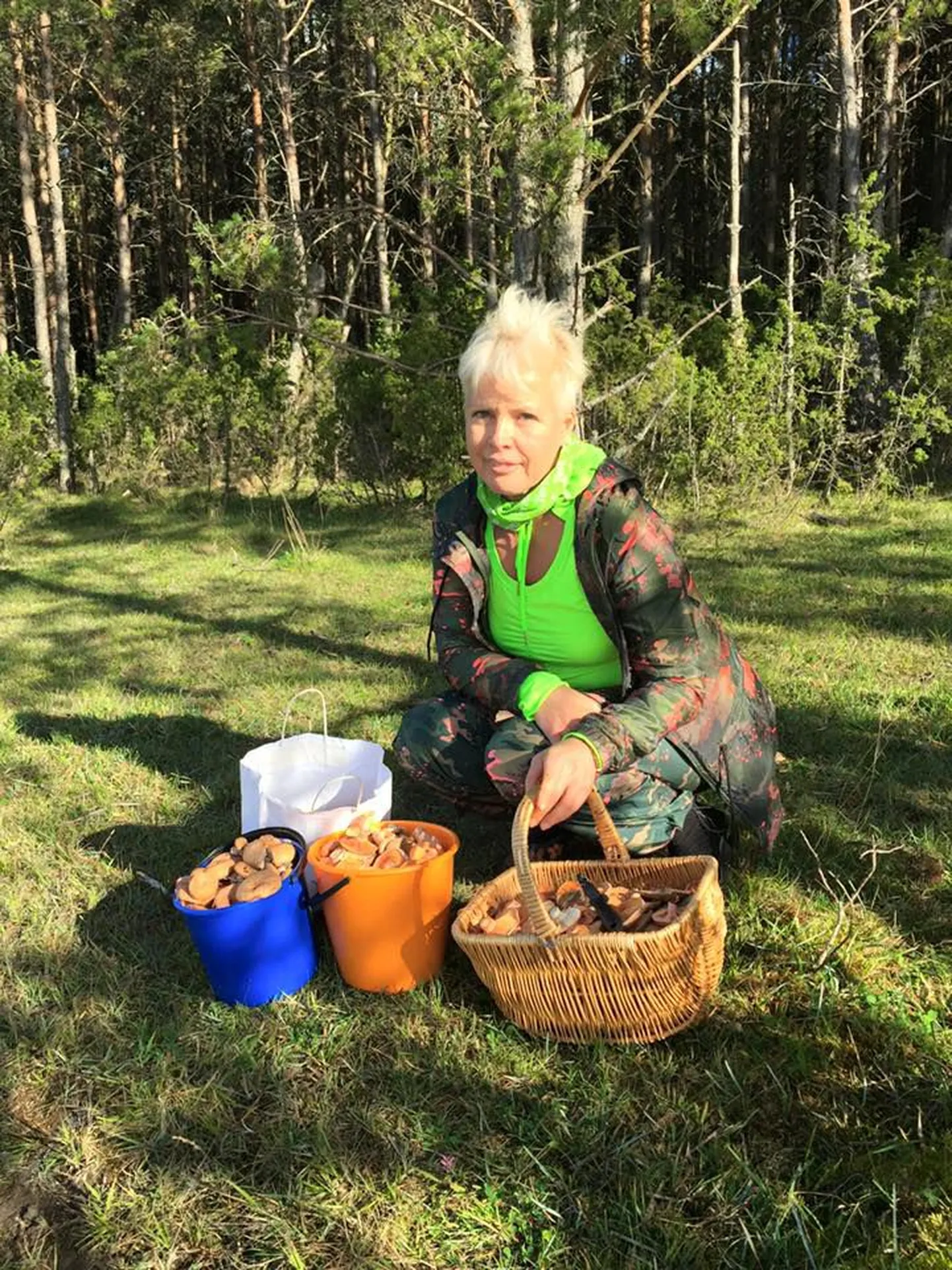 Evelin Ilves ja seenesaak Hiiumaa metsadest