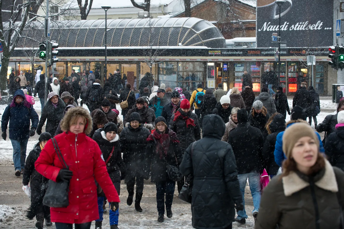 Estonia's population grows due to immigration in 2023.