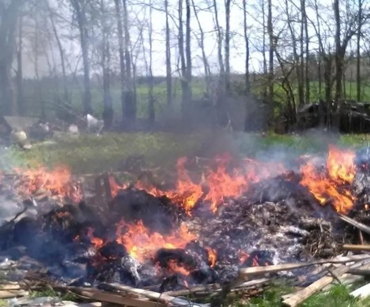 Hoolimata korduvatest hoiatustest tehakse metsaserva lõkkeid, mis tagatipuks jäetakse veel järelevalveta. 