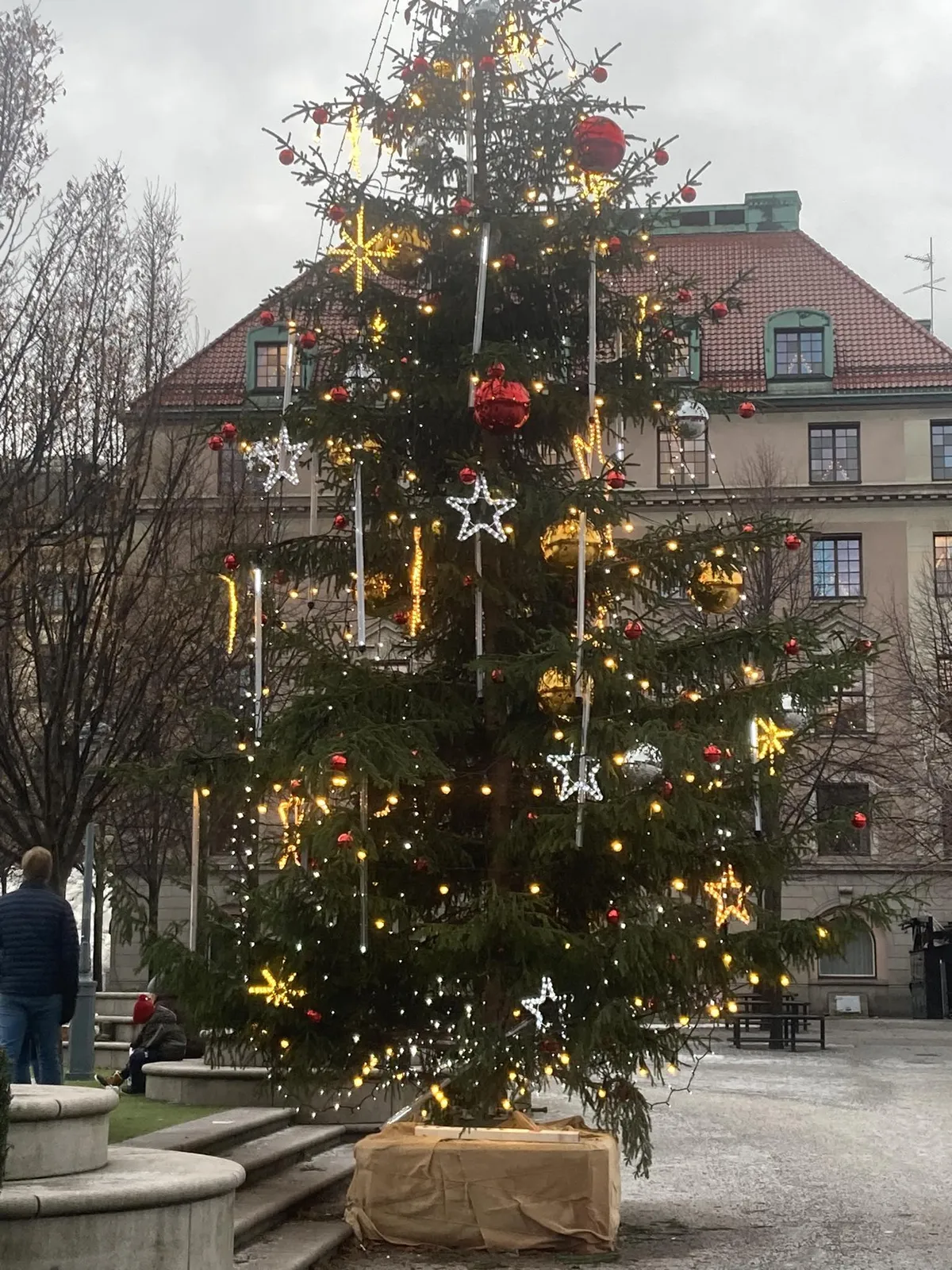 Jõulukuusk Stockholmis.
