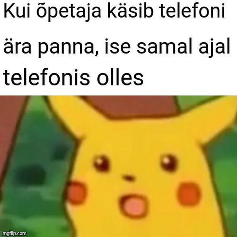 Meemikonkursile "Rõõmud ja mured digimaailmas" esitatud töö.