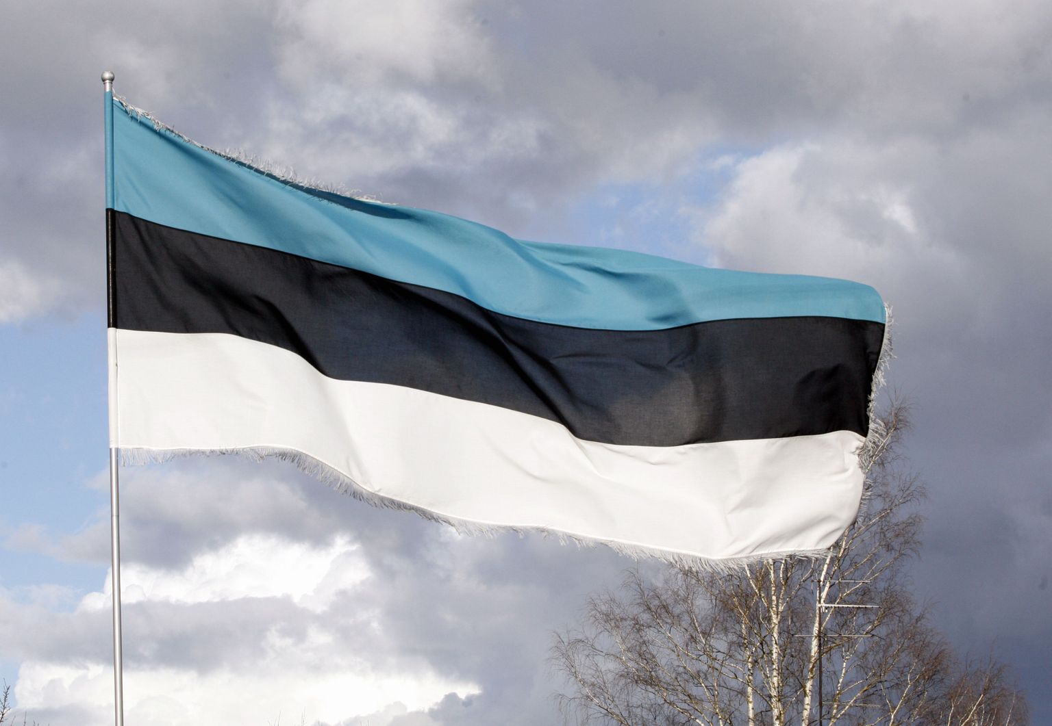 Флаг Эстонии.