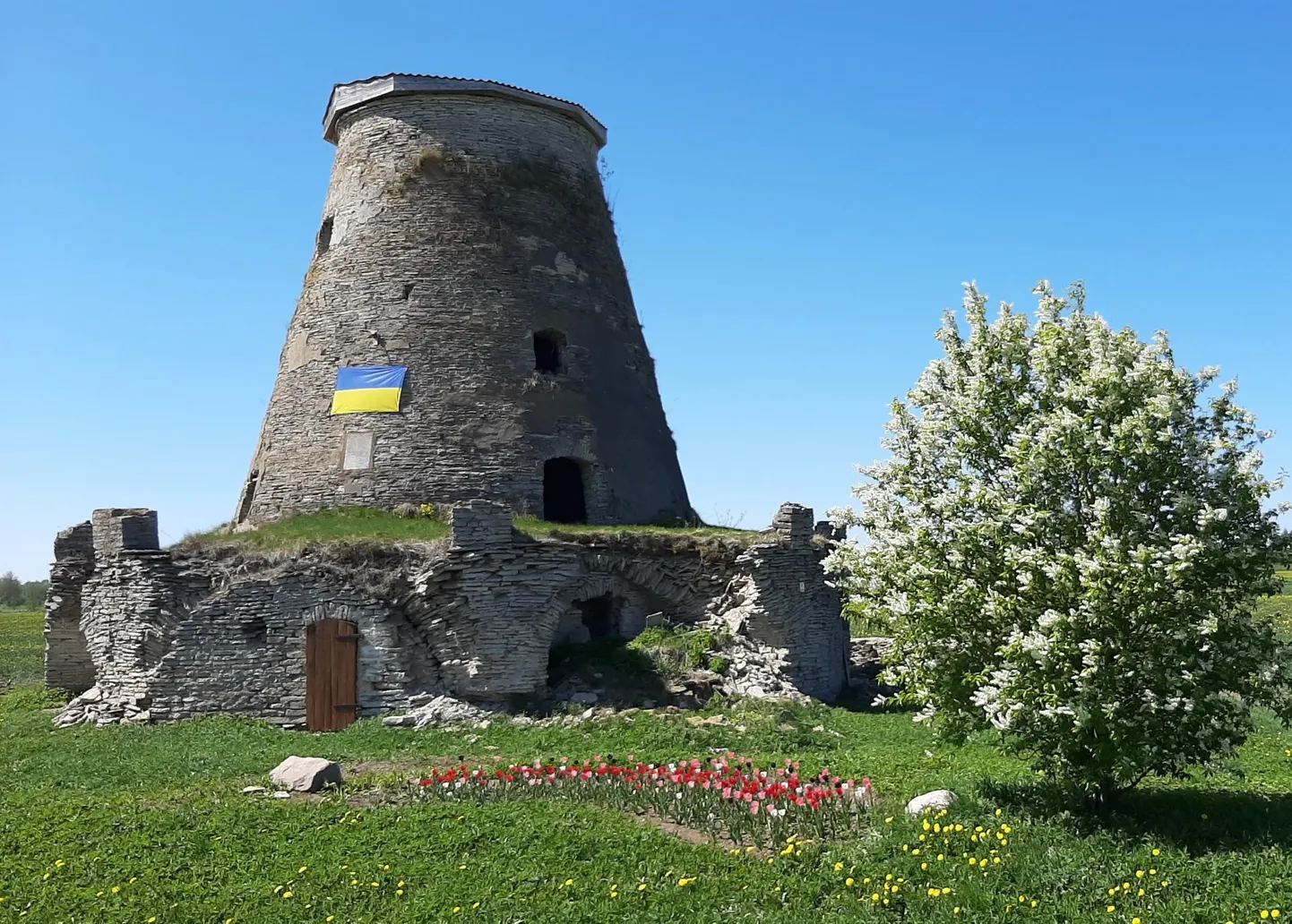 Puhkenud õied Andja veski juures.