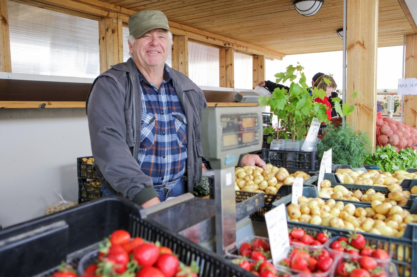 Peegi-Kuressaare talu peremees Endel Peek on omakasvatatud tomateid ja muud aiakraami aastaid Viljandi turul müünud.