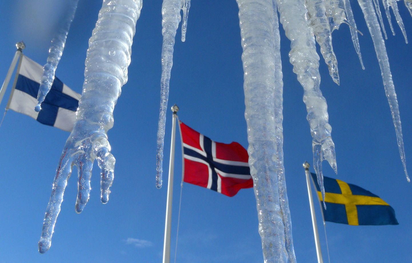 Soome (vasakult), Norra ja Rootsi lipud. Lisaks neile kuuluvad Põhjamaade hulka Taani ja Island.