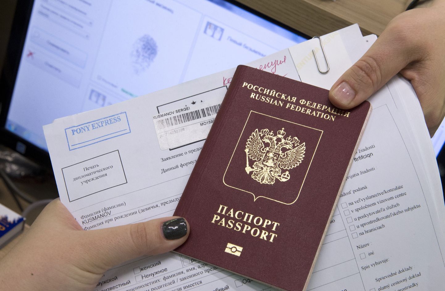 Паспорт РФ и документы для получения шенгенской визы.