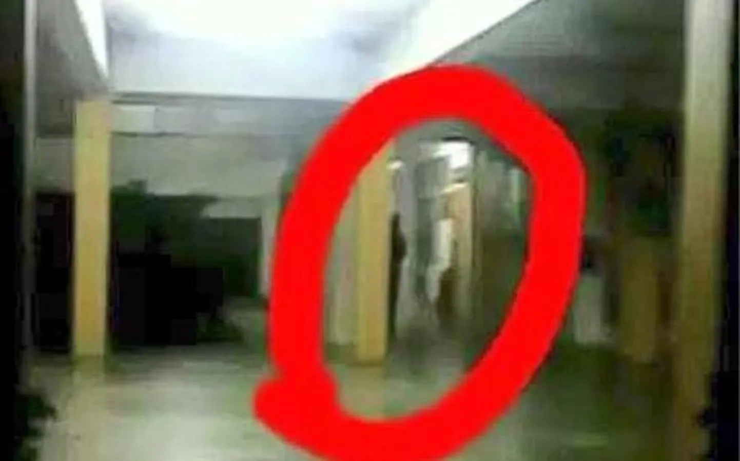 Artikli foto