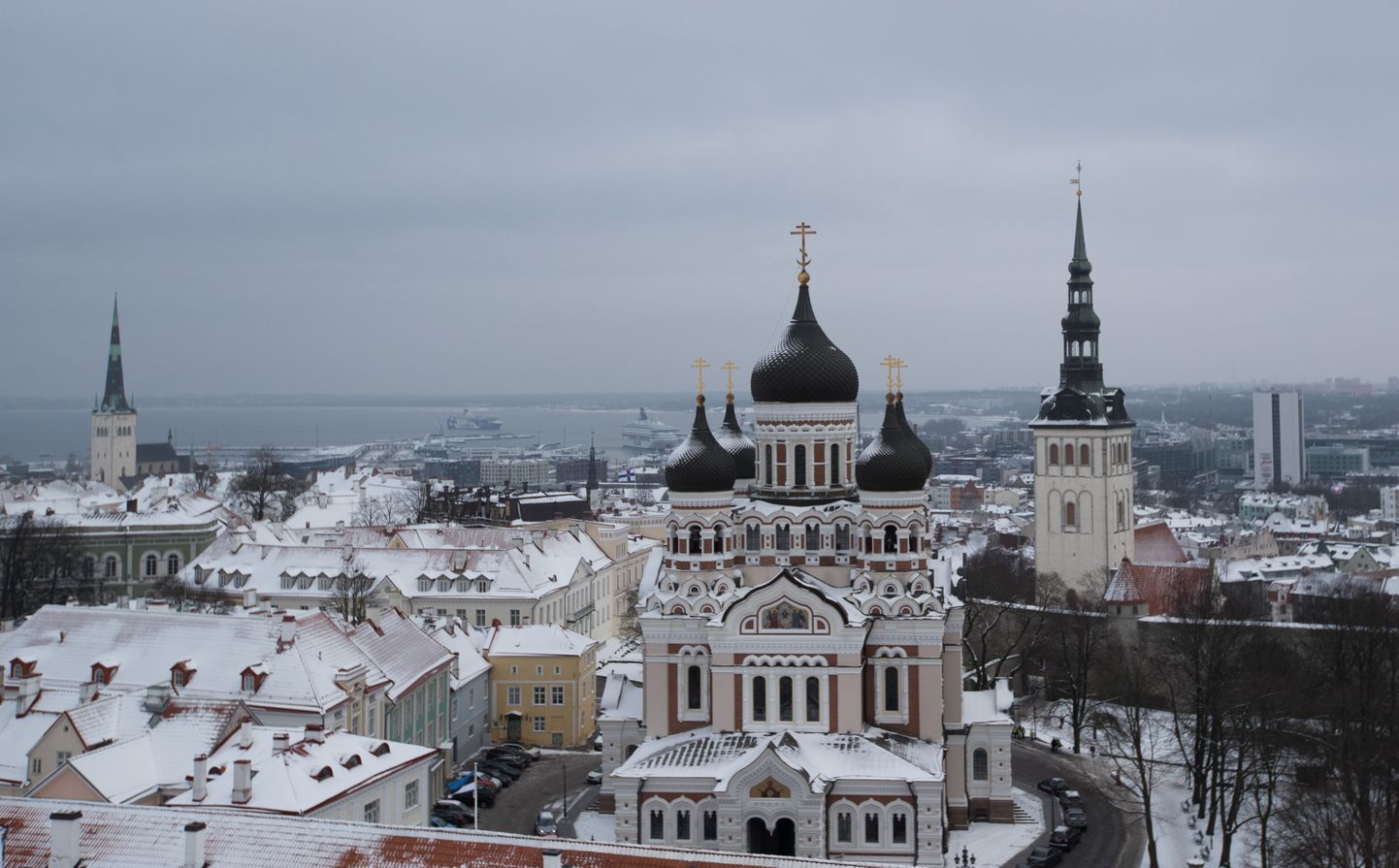 Inimesed kutsuvad välismaalasi külastama Eestit ja saama osa meie riigi juubelisünnipäevast.