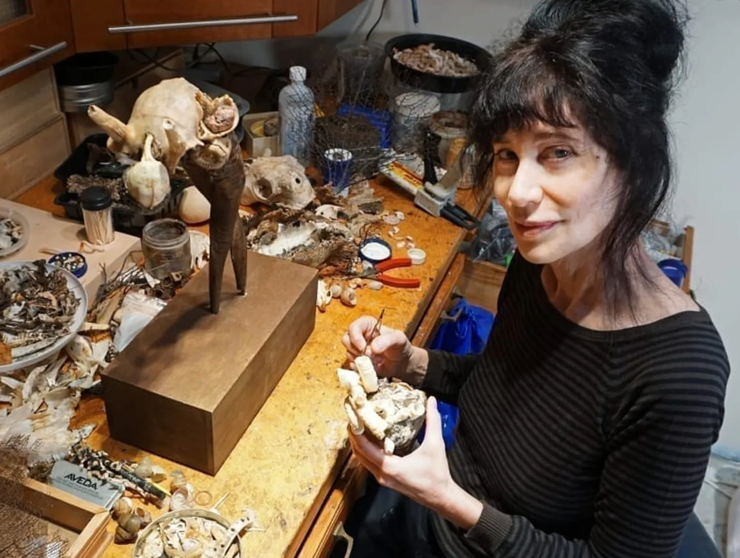 Gillian Genser kasutas skulptuuri loomiseks Kanada atlandirannikult pärit siniseid rannakarpe, mida ta ostis lahtiselt Toronto Chinatownist.