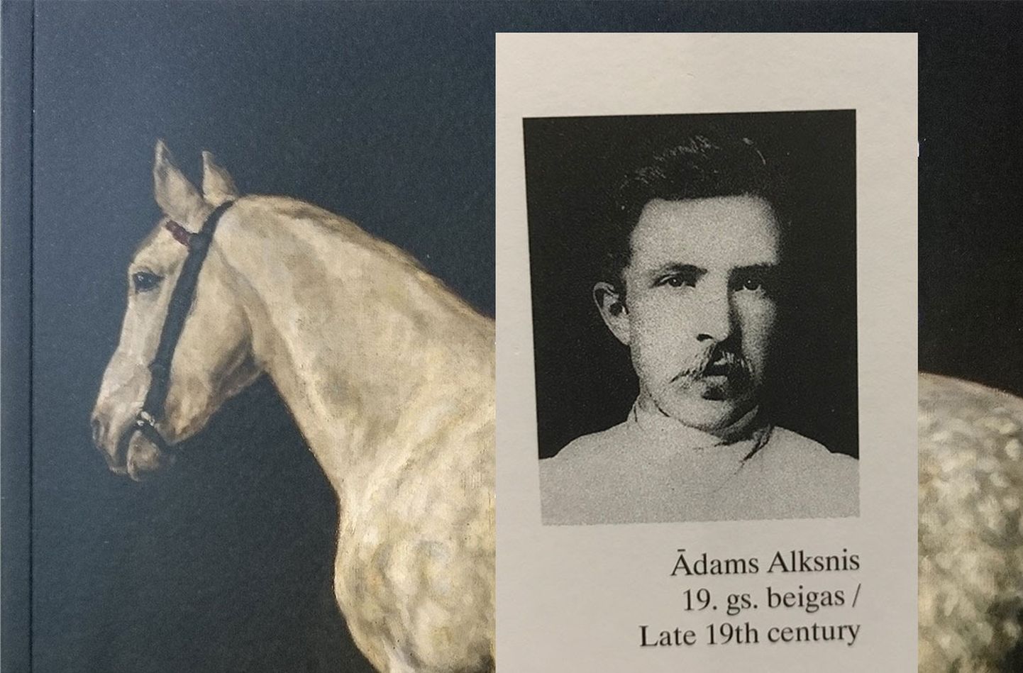 Sērijā "Latvijas mākslas klasika" izdota grāmata par Ādamu Alksni
