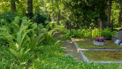 Mysterious Exhibitionist Continues to Elude Police at Tallinn Cemetery