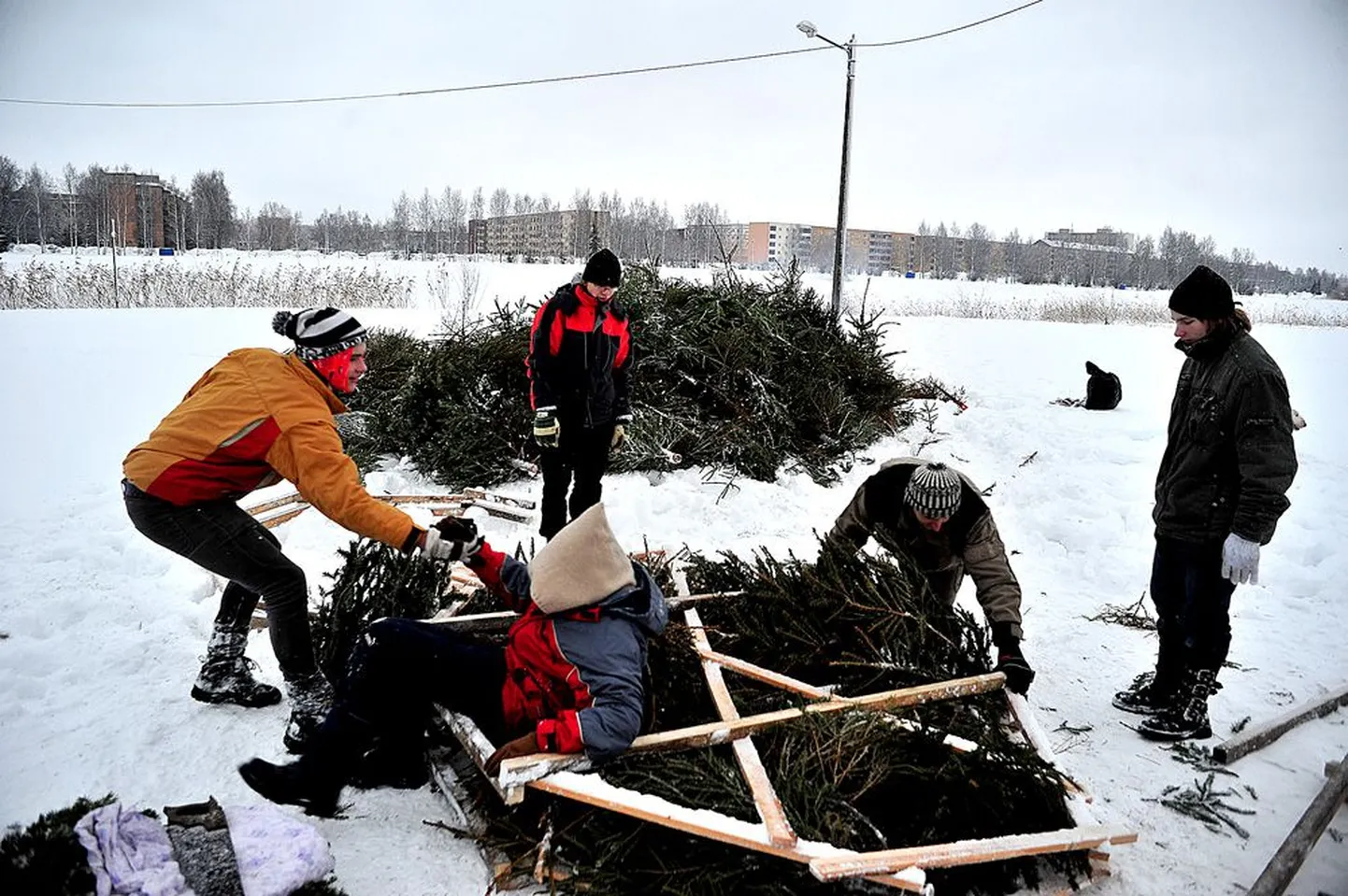 Lastekunstikooli võistkond täitis oma kassi pea skulptuuri kuuskedega, tühjaks plaaniti vähemalt esialgu jätta vaid silmakohad. Pildil vasakult vilistlased Siim Kingu ja Susanna Mänd, taga seisab õpilane Timmu Tollimägi, karkassi kohendab üks korraldajatest Kalev
Järvik, paremal jälgib kuuskede kokkupressimist õpilane Karl Paide.
