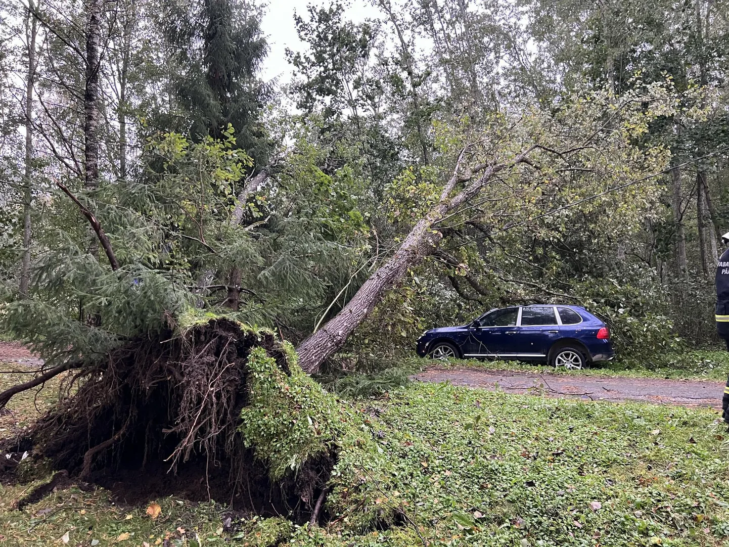 Tugevad tuuled paiskasid Viitna külas puu auto peale. Suuremast kahjust päästis elektriliin, millele suur puu toetuma jäi.