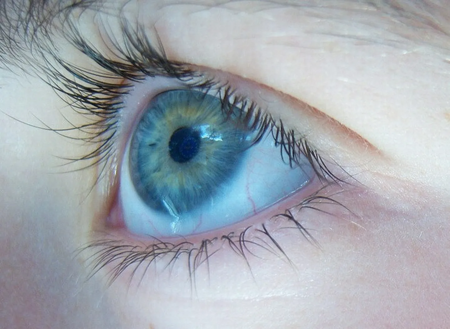 Raksta foto