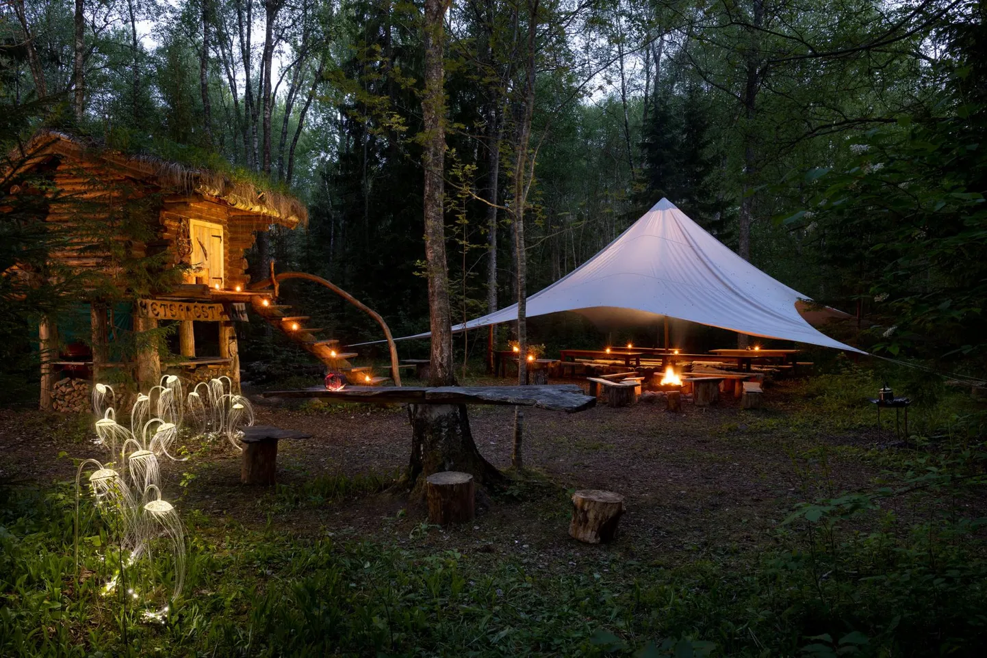 Õhtuvaade metsarestoranile. FOTO: Toomas Tuul