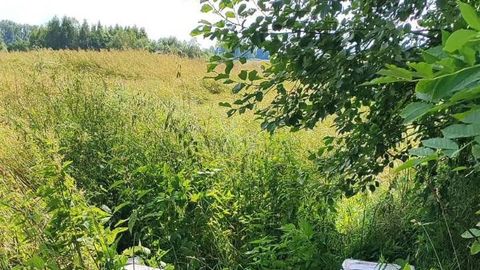 Likumsargi Krāslavas novadā aiztur organizētas noziedzīgas grupas dalībniekus