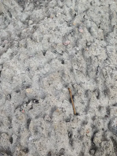 Mutimullahunnik on kõva kui kitt