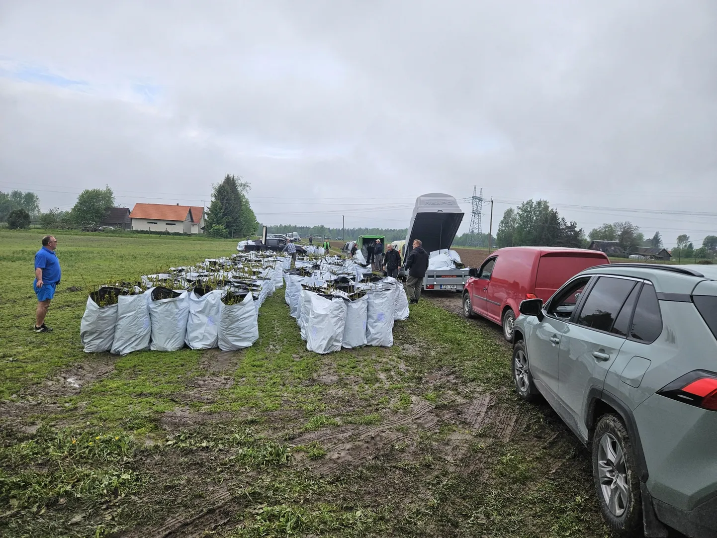 IIsaku taimlas lookleb praegu pikk järjekord tasuta kuuseistikuid saada soovijaist.