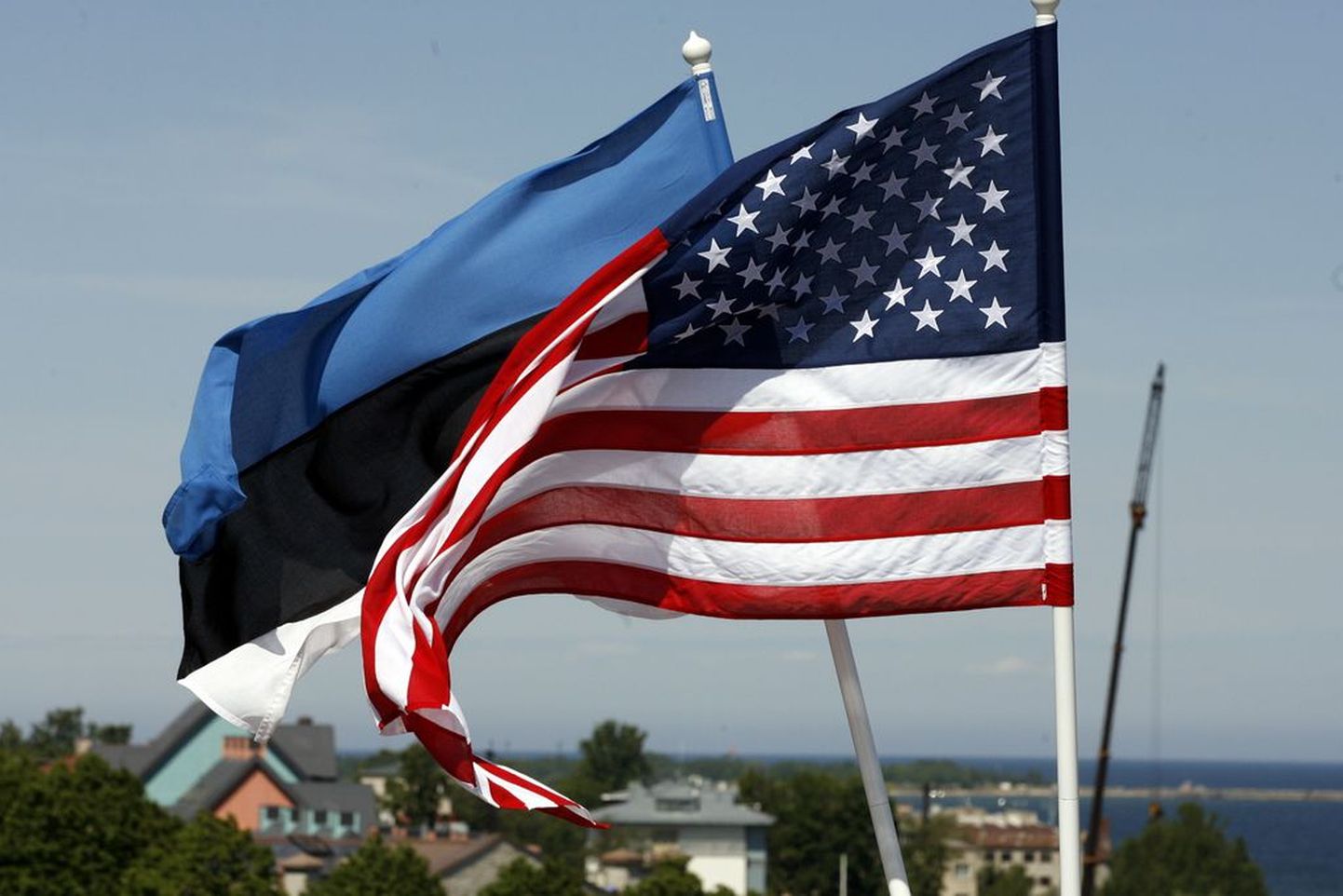 Флаг Эстонии и Соединенных Штатов Америки.
