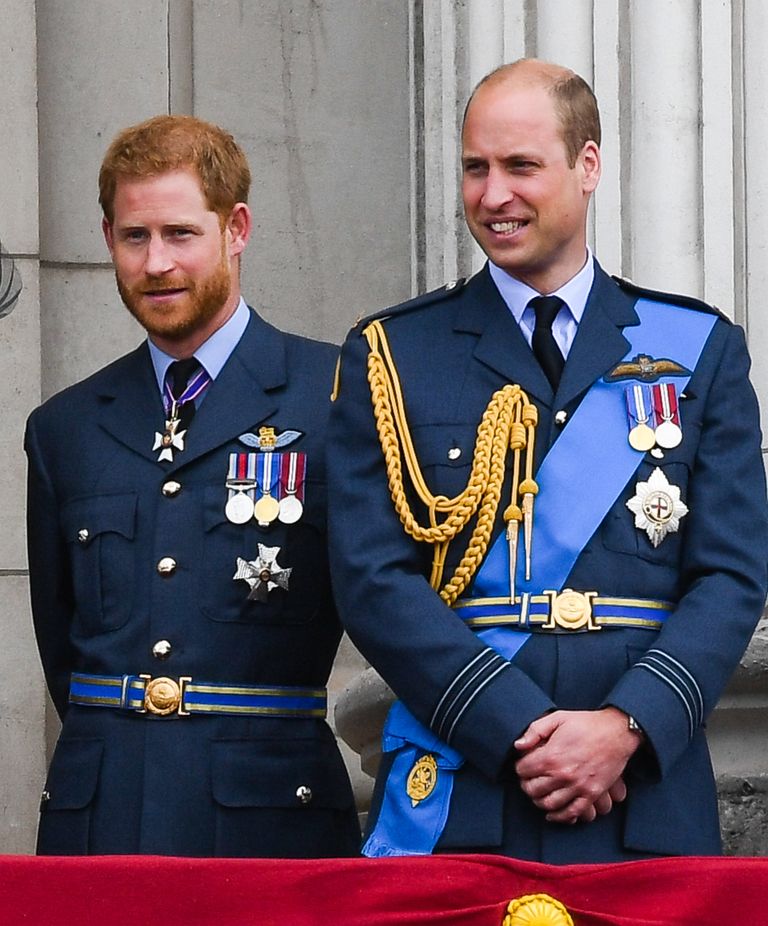 Vennad prints Harry ja prints William 2018.